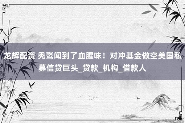 龙辉配资 秃鹫闻到了血腥味！对冲基金做空美国私募信贷巨头_贷款_机构_借款人