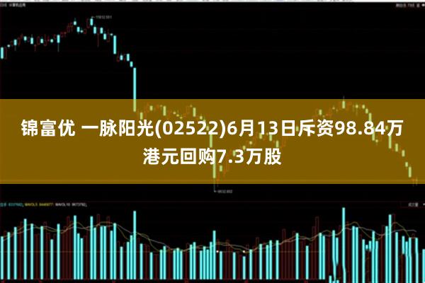 锦富优 一脉阳光(02522)6月13日斥资98.84万港元回购7.3万股