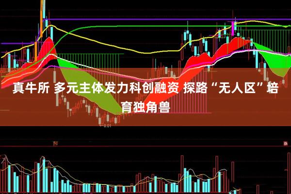 真牛所 多元主体发力科创融资 探路“无人区”培育独角兽