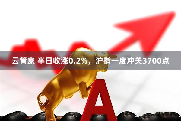 云管家 半日收涨0.2%，沪指一度冲关3700点