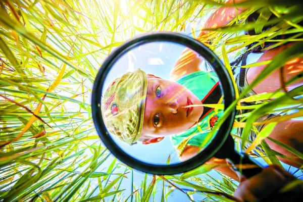 金多多配资 英国中小学为何每年有6次教育旅行